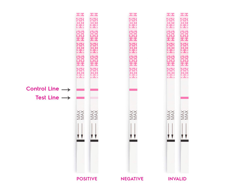 Que thử thai vạch nào lên trước
