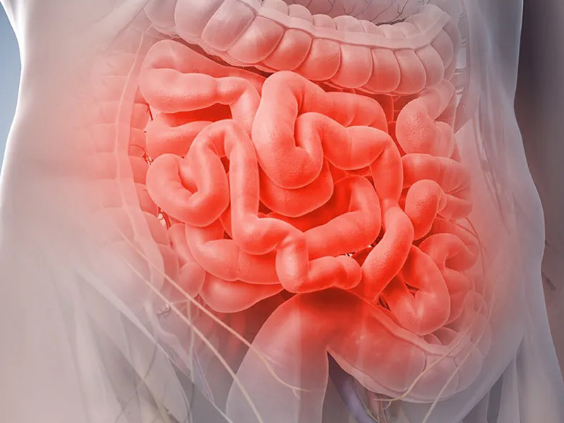 Tiêu chảy ra máu 