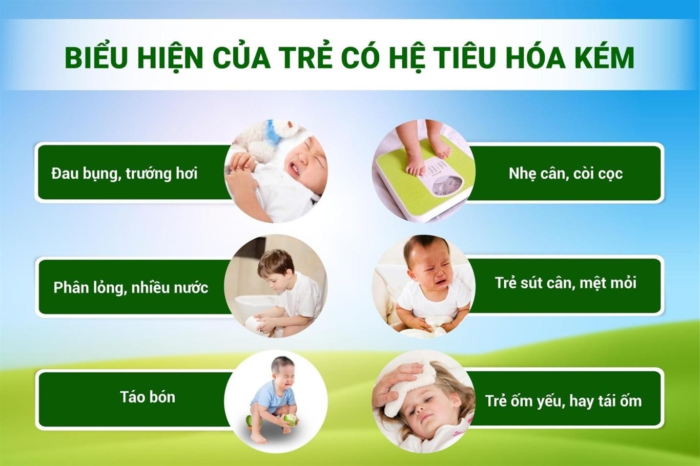 hệ tiêu hóa khỏe mạnh