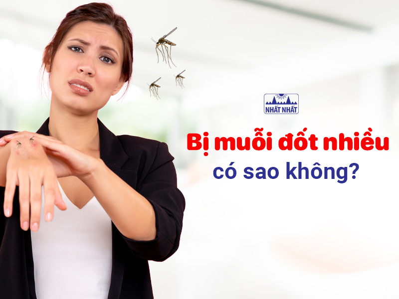 Tìm hiểu bị muỗi đốt nhiều có sao không