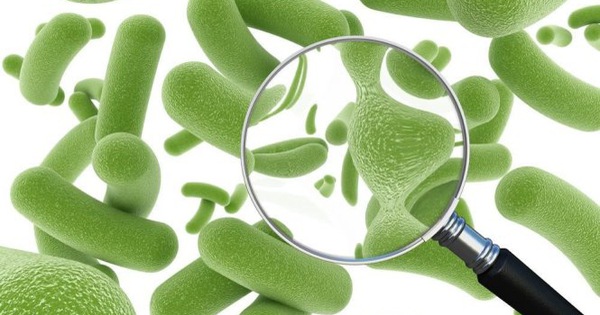 Bổ sung men vi sinh khi có vấn đề về tiêu hóa