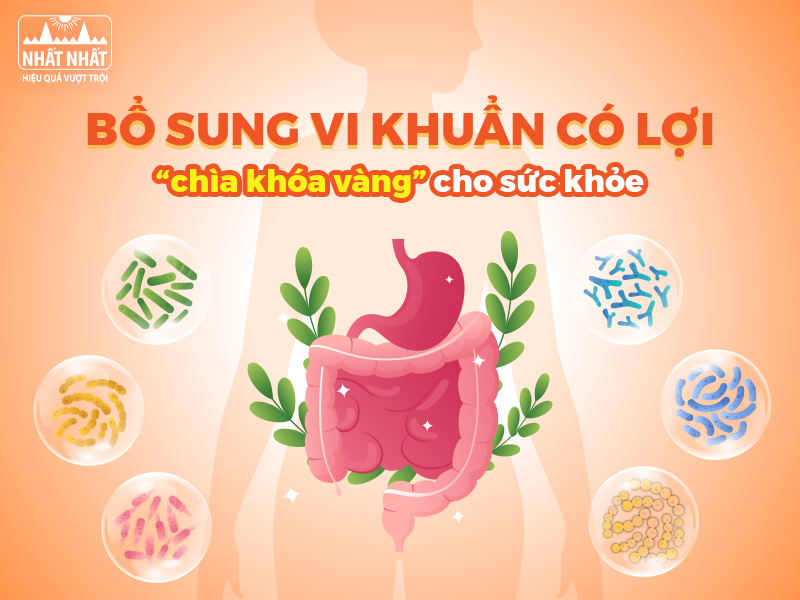 Tìm hiểu cách bổ sung vi khuẩn có lợi cho sức khỏe