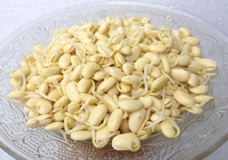 Tìm hiểu mầm đậu nành có tác dụng gì