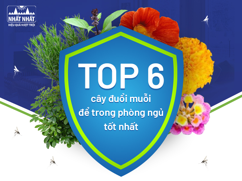 Tìm hiểu những loại cây đuổi muỗi dể trong phòng ngủ