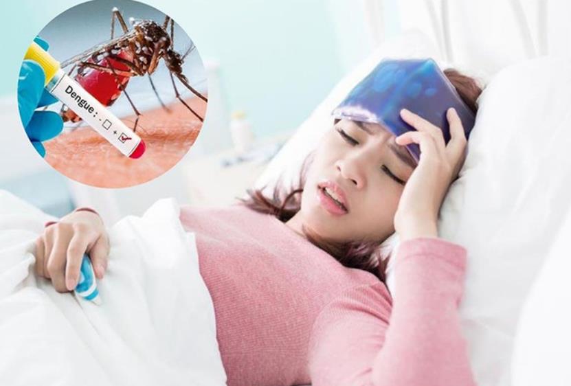 Tìm hiểu sốt xuất huyết làm gì cho nhanh khỏi