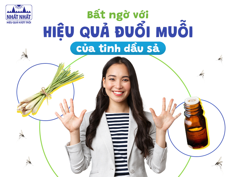 Tìm hiểu về tinh dầu sả xua đuổi muỗi và côn trùng