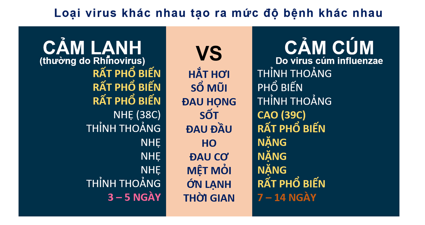 Tổng hợp những khác biệt của cảm lạnh và cảm cúm