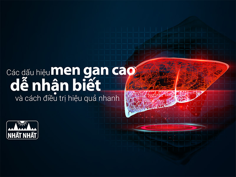 dấu hiệu men gan cao