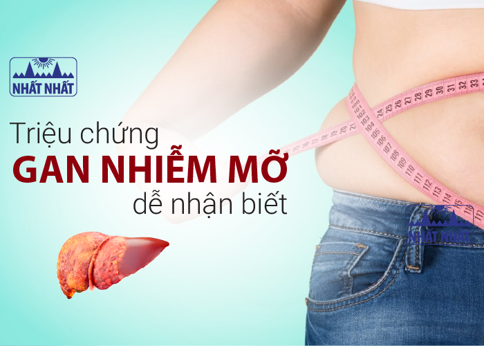 triệu chứng gan nhiễm mỡ