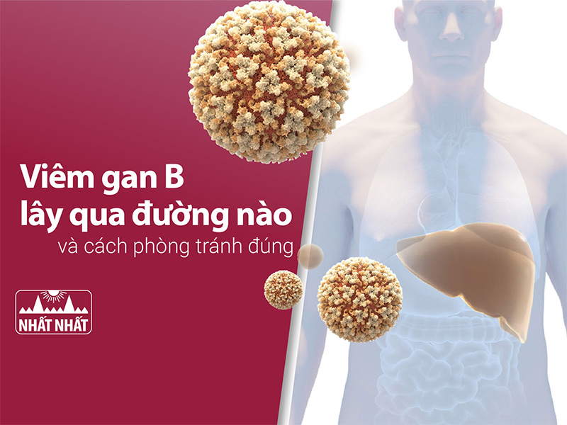 viêm gan b lây qua đường nào