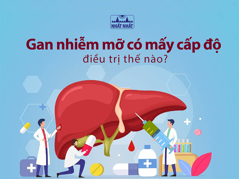 gan nhiễm mỡ có mấy cấp độ