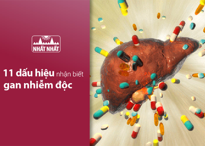 nhận biết gan nhiễm độc
