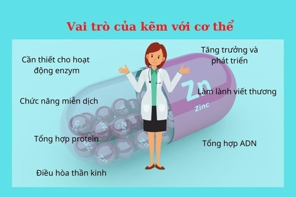 uống kẽm bao lâu thì dừng