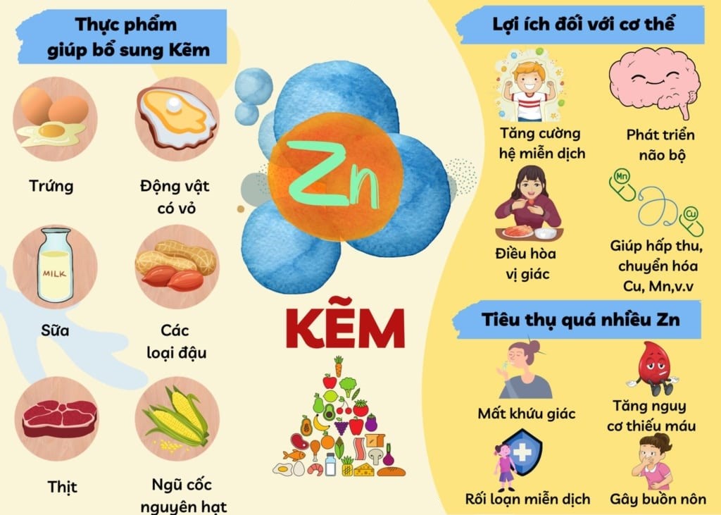 uống kẽm có tác dụng gì