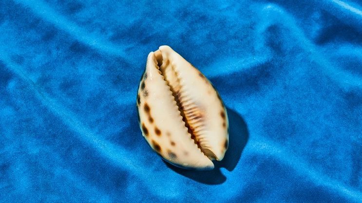 vệ sinh vùng kín đúng cách sau khi quan hệ