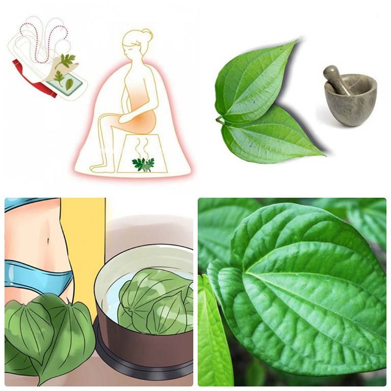 vệ sinh vùng kín bằng lá trầu không