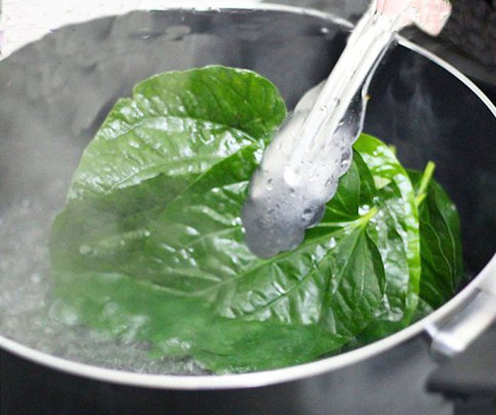 vệ sinh vùng kín bằng lá trầu không