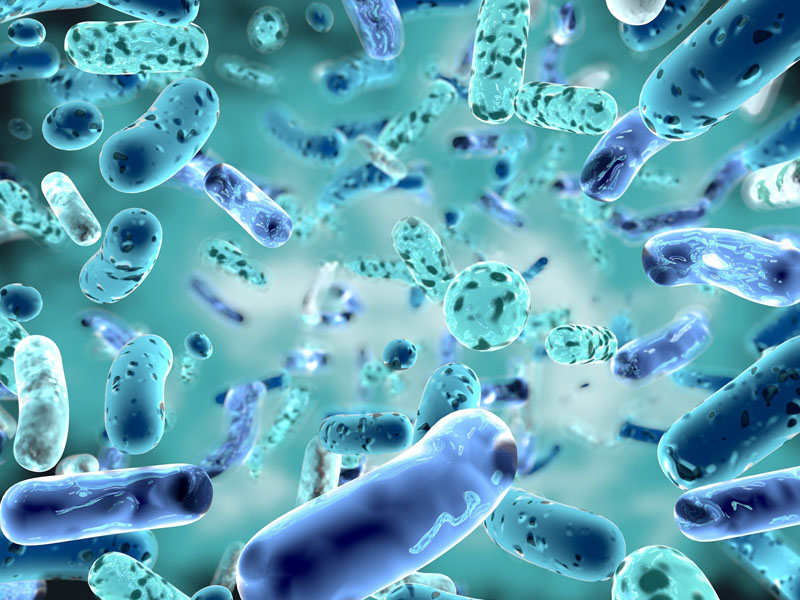 vi khuẩn có lợi