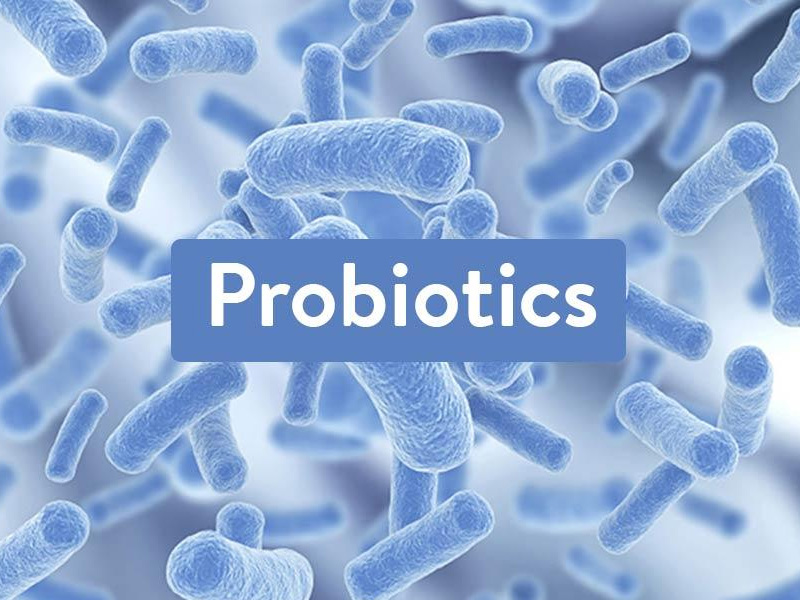 vi khuẩn có lợi