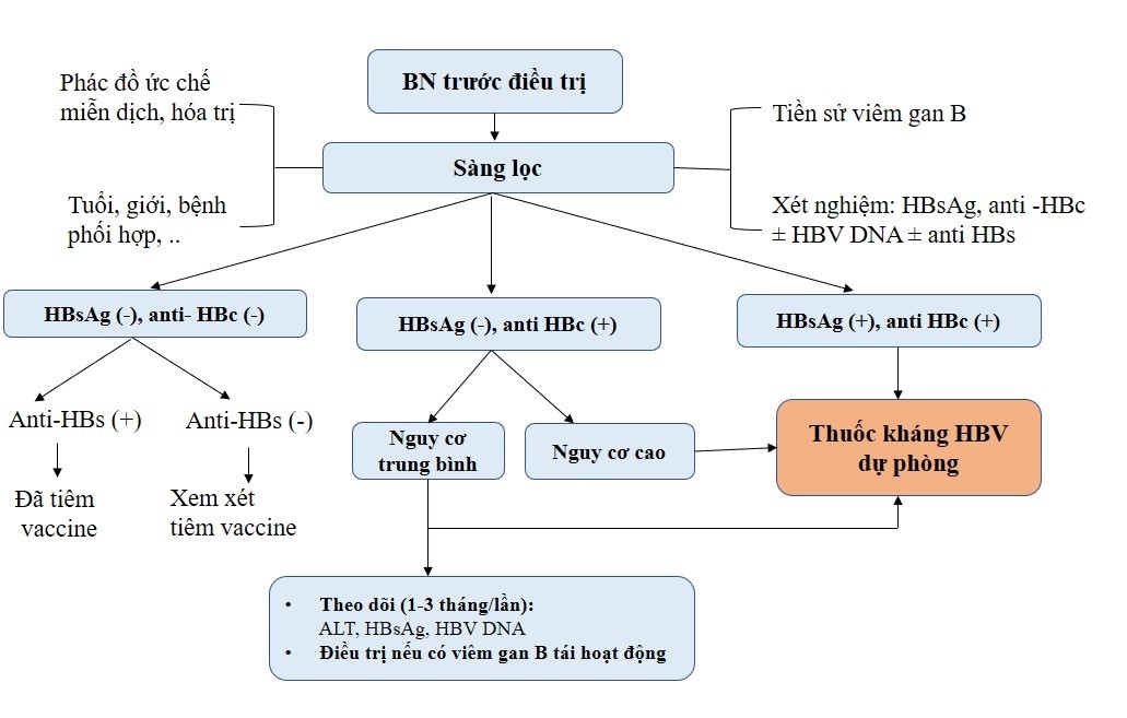 Viêm gan B mạn tính 
