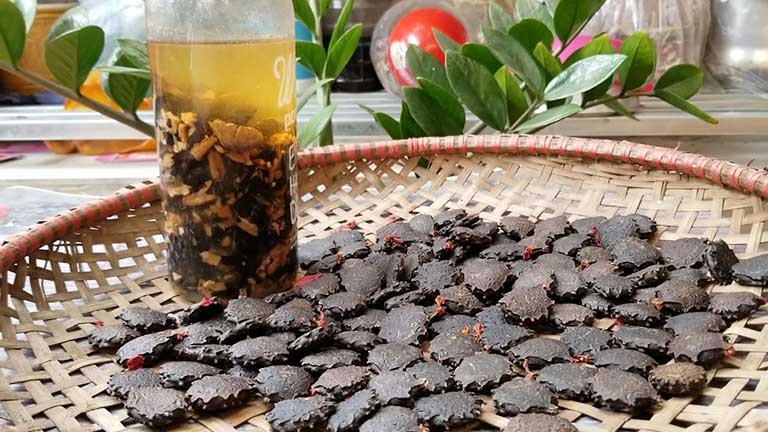 Chữa viêm mũi dị ứng