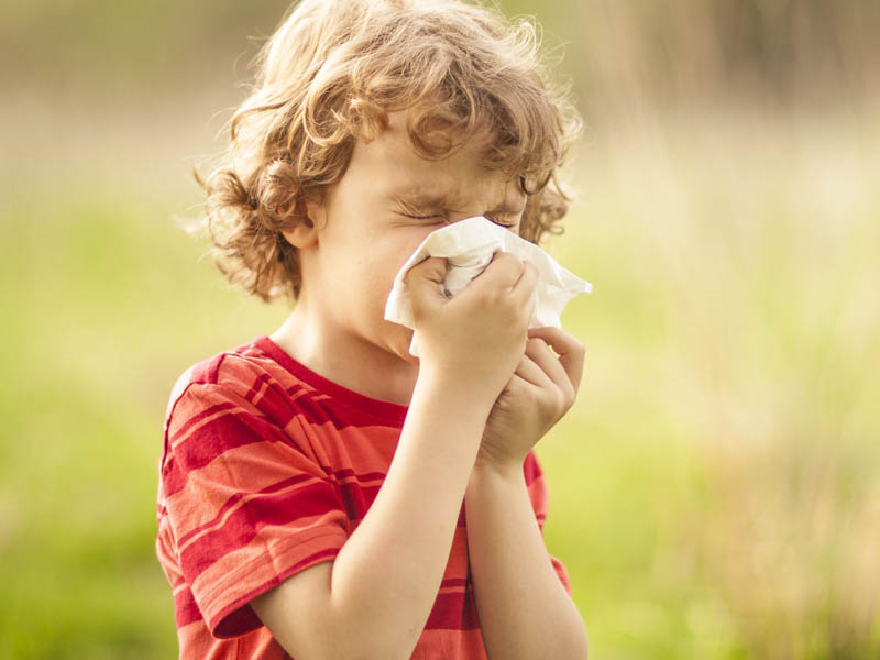 viêm mũi dị ứng ở trẻ sơ sinh