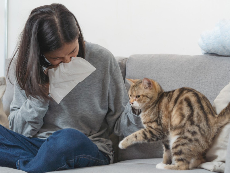 viêm xoang mũi dị ứng