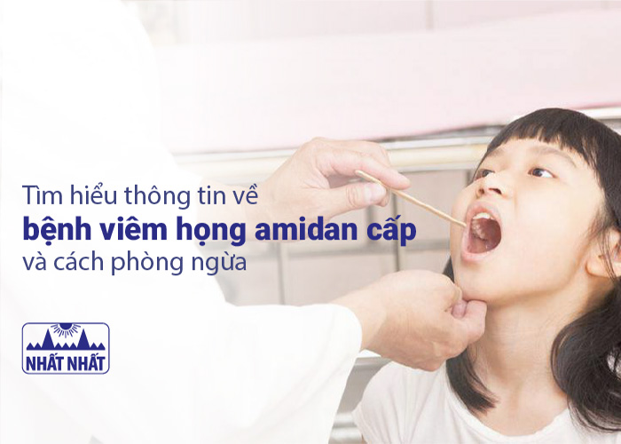 Viêm họng amidan cấp 