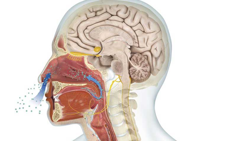 xịt sạch mũi bảo vệ mũi 