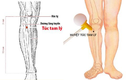 Xoa bóp huyệt Túc tam lý giúp cải thiện gan nhiễm mỡ