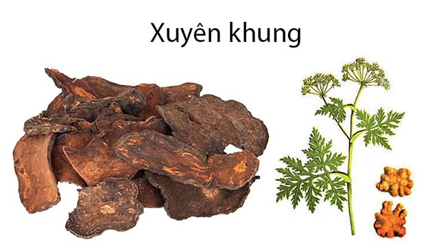 xuyên khung có công dụng hoạt huyết hành khí