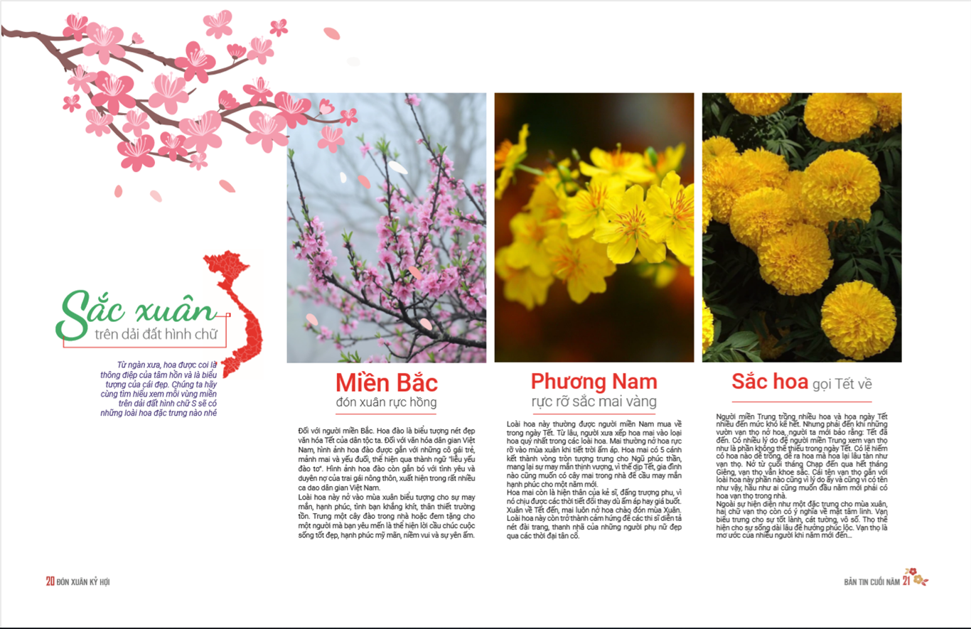 Bản tin nội bộ Tết Kỷ Hợi