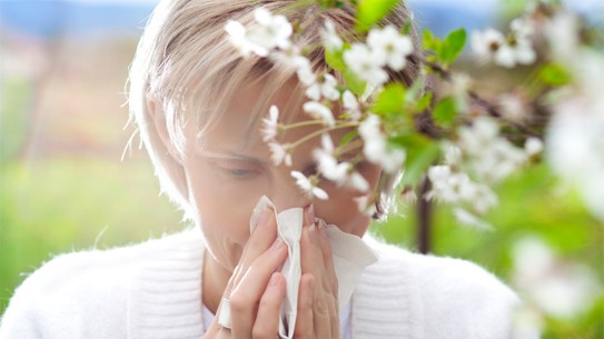 Viêm mũi dị ứng theo chu kỳ vào mùa xuân khi có nhiều phấn hoa bay trong không khí