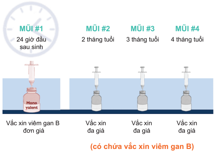 Lịch tiêm Vaccine cho trẻ sơ sinh