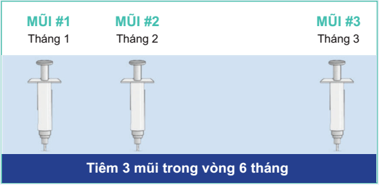 Ảnh: Lịch tiêm Vaccine cho trẻ lớn, người trưởng thành