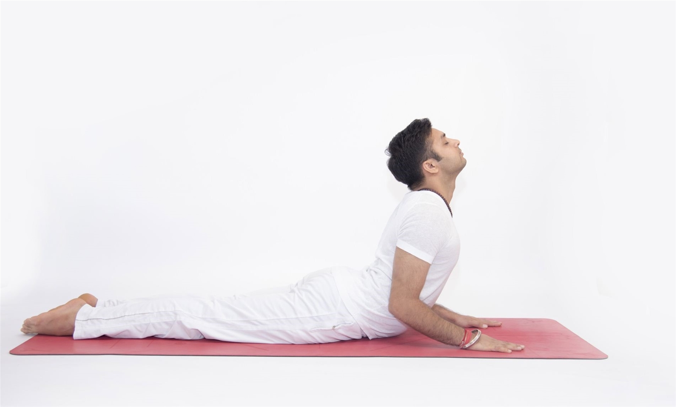 Tư thế rắn hổ mang giúp cải thiện sức mạnh của cơ bụng và cơ lưng dưới