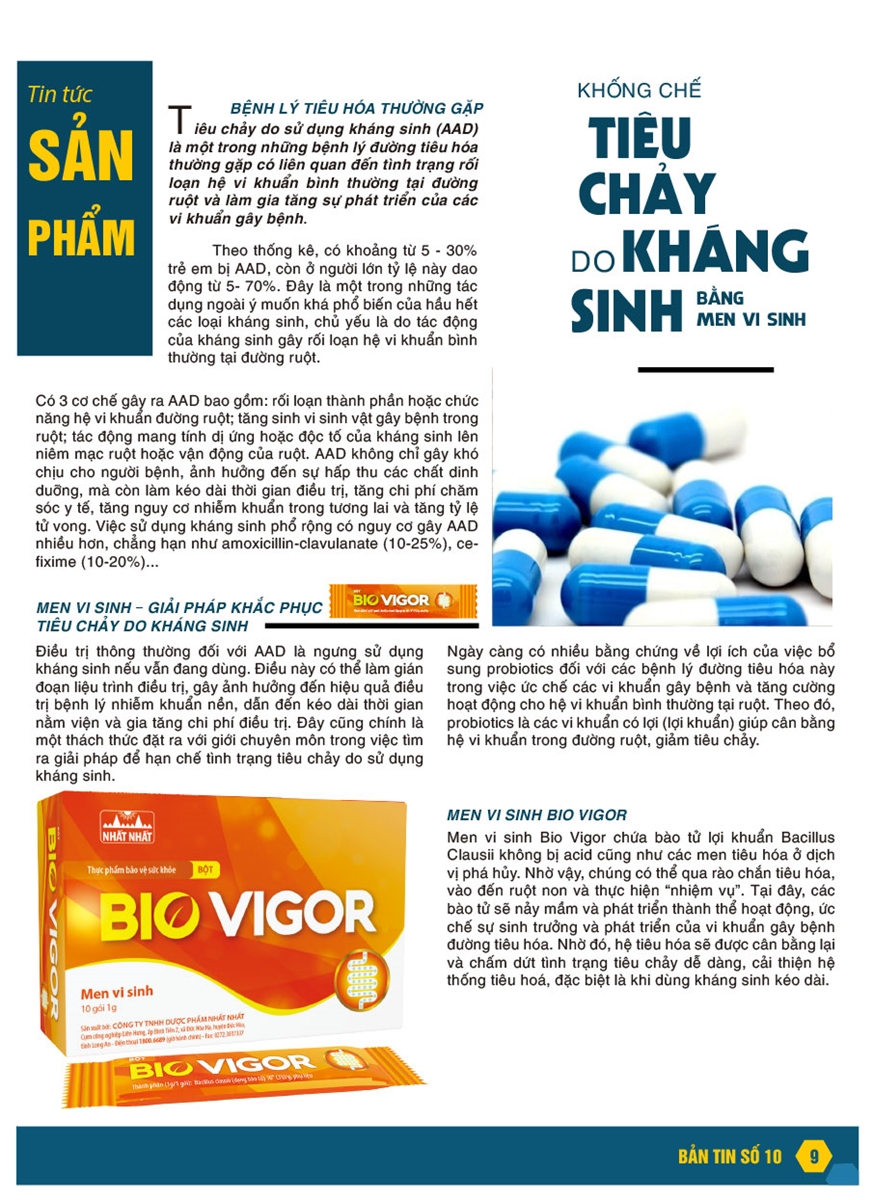 Bản tin nội bộ số 10